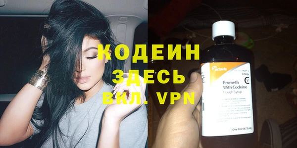 прущий лед Богданович