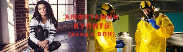 ECSTASY Богородицк