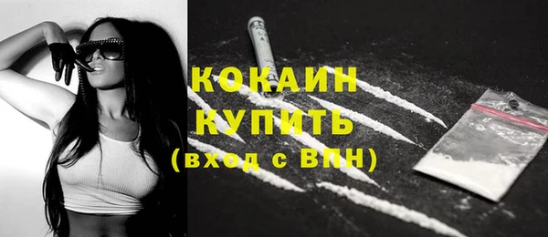 прущий лед Богданович