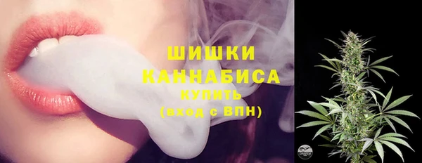 ECSTASY Богородицк