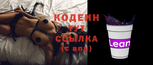прущий лед Богданович