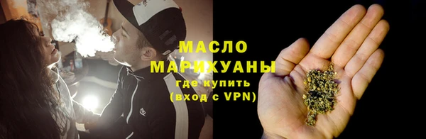 прущий лед Богданович