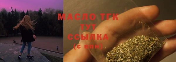 ECSTASY Богородицк