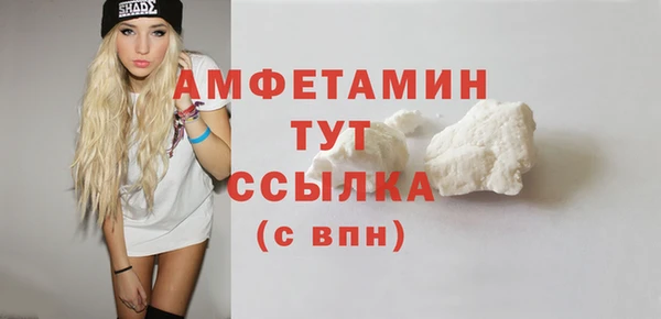 прущий лед Богданович