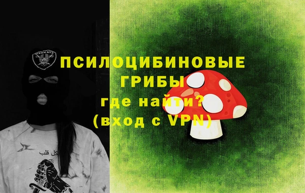 прущий лед Богданович