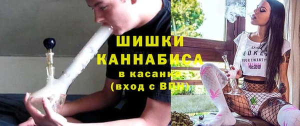 ECSTASY Богородицк