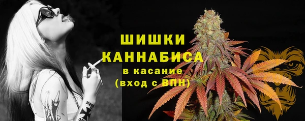 ECSTASY Богородицк