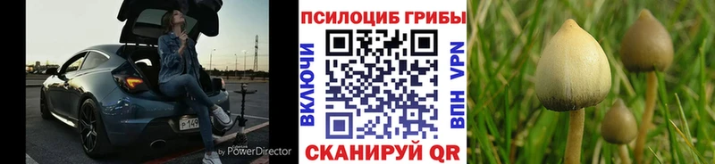 что такое   Дятьково  Галлюциногенные грибы ЛСД 